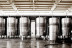 Cata Pans y Vins: Cata de Vino con Maridaje de Panes Especiales en Bodegas Vi Rei (Mallorca)