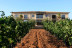 Chocowine: Cata de Vino y Chocolate para dos en Bodega Vi Rei (Mallorca)