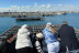 Paseo en Catamarán y Visita a los Viveros de Clóchina con Degustación (Valencia)