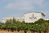 Visita a Bodegas Vicente Gandía con Cata de Vinos y Tabla de Quesos y Embutidos para dos (Las Cuevas de Utiel, Valencia)
