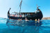 Crucero Vikingo con Avistamiento de Ballenas y Delfines (Santa Cruz de Tenerife)