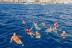 Crucero Vikingo con Bebidas y Baño (Tenerife)  