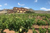 Escapada en Villas Perfer y Visita a Bodegas Perfer con Cata de Vinos y Comida (Uleila del Campo, Almería)