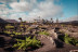 Tour por Viñedo con Cata de Vinos y Maridaje de Chocolate Artesanal en Finca Testeina -  Bodegas Vega de Yuco (Masdache, Lanzarote)