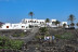 Tour por Viñedo con Cata de Vinos y Maridaje de Chocolate Artesanal en Finca Testeina -  Bodegas Vega de Yuco (Masdache, Lanzarote)