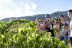 Visita a Viñedos en 4x4, Bodega, Cata de Vinos, Aperitivo y Comida en Cellers Baronia del Montsant (Tarragona)