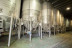 Visita a Bodega Vinícola de Arganda con Degustación de Vinos y Comida en Asador Vitis para dos (Arganda del Rey, Madrid)
