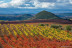 Escapada con Visita a Bodegas Castiblanque y Cata de Vino (Campo de Criptana, Ciudad Real)