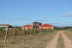Visita a Bodegas Idrias y Viñedos con Cata de 3 Vinos y Maridaje de Productos Km 0 para dos (Lascellas, Huesca)
