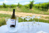 Visita a Bodegas Idrias y Viñedos con Cata de 3 Vinos y Maridaje de Productos Km 0 para dos (Lascellas, Huesca)