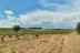 Pícnic en el Bosque y Visita a Bodega para dos en Bosque de Matasnos (Peñaranda de Duero, Burgos)