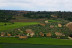 Entre Viñas y Tinajas: Paseo por la Viña, Visita a la Bodega, Cata y Tapa en Bodegas Rudeles (Peñalba de San Esteban, Soria)