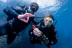 Recupera un Tesoro: Buceo y Recuperación de Botella de Vino para dos (Sant Pere Pescador, Girona)