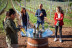 Armonía en Cuatro Tiempos: Visita a Viñedos y Bodega con Degustación de Vinos y Quesos para dos en Terras Gauda (Pontevedra)