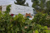 Visita a Bodega y Cata de Vino para dos en Bodegas Dominio Maestrazgo (Alcorisa, Teruel)