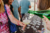 Visita Guiada con Cata de Vinos en Bodegas Viñátigo (La Guancha, Santa Cruz de Tenerife)