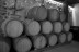Visita, Cata de Vinos y Aperitivo para dos en l'Estanquer (Canet lo Roig, Castellón)