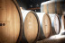 Cata de Vinos, Vinagres y Aceite en Finca Mas Perdut (Santa Oliva, Tarragona)