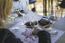 Visita a Bodegas Elías Mora con Cata de Vinos y Degustación para dos (San Román de Hornija, Valladolid)