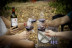 Visita a Bodegas Elías Mora con Cata de Vinos y Degustación para dos (San Román de Hornija, Valladolid)