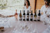 Paseo por Viñedos en 4x4 y Visita a Bodega Arínzano con Cata de Vinos y Maridaje Gastronómico (Navarra)