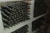 Visita Guiada por Bodega Baronia de Vilademuls y Cata de Vinos para dos (Parets d’Empordà, Girona)
