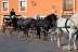 Visita a Bodega, Cata de Vino y Paseo en Coche de Caballos para dos (Albacete)