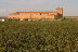 Visita a Bodega, Cata de Vino y Paseo en Coche de Caballos para dos (Albacete)