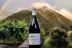 Visita a la Bodega Picos de Cabariezo con Cata de Vinos y Spa para dos en Balneario La Hermida 4* (Cantabria)
