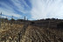 Visita a Bodega Villa d’Orta y Cata de 6 Vinos para dos (Barbastro, Huesca)