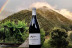Visita a la Bodega Picos de Cabariezo con Cata de Vinos y Licores para dos (Cantabria)