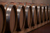 Visita Guiada por Bodega Artística, con Cata de Vinos y Aceite para dos (Lleida)