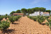 Visita a Bodega La Viña del Abuelo, Degustación de un Vino y una Tapa para dos (Toro, Zamora)