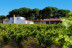 Visita a Bodega La Viña del Abuelo, Degustación de un Vino y una Tapa para dos (Toro, Zamora)