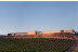 Visita a Bodega y Cata de Vinos para dos en Finca Montepedroso (Valladolid)