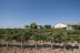 Visita a Bodega Mont Reaga con Cata de Vinos y Aperitivo para dos (Monreal del Llano, Cuenca)