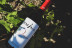 Visita a Bodega y Cata de Vinos en Bodega Emina Ribera (Valladolid)