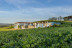 Visita a Bodega Granbazán y Cata de Vinos para dos (Pontevedra)