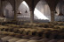 Visita a Bodegas Real Tesoro y Valdespino y Cata de Vinos para dos (Jerez de la Frontera, Cádiz)