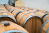 Visita a Bodega Emina Rueda y Cata de 3 Vinos (Medina del Campo, Valladolid)