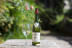 Visita con Cata de Vino Albariño para dos en Bodegas del Palacio de Fefiñanes (Cambados, Pontevedra)