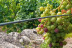Visita a Bodega Via Romana y Viñedos con Cata de 3 Vinos para dos (Lugo)