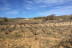 Visita a Bodegas Arbás, Viñedos y Cata de 2 Vinos con Quesos y Embutidos para dos (Valladolid)