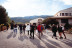 Visita al Museo del Vino con Cata y Tapas para dos en Hacienda del Carche / Casa de la Ermita (Jumilla, Murcia)