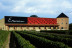 Visita a Bodegas La Soterraña con Cata de Vinos y Aperitivo para dos (Olmedo, Valladolid)