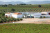 Bodegas Real: Visita a Viñedos y Bodega con Cata de Vinos, 2 Botellas de Vino y Comida para dos (Valdepeñas, Ciudad Real)