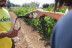 El Vino Te Habla: Visita a Bodega, Aperitivo y Cata de Vino en Bodegas Emilio Moro (Valladolid)