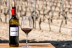 Visita a Bodegas Marcos y Cata de Vinos con Aperitivos amenizada con Magia para dos (Peñafiel, Valladolid)