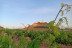 Visita a Bodegas Protos con Cata de 3 Vinos y aperitivo para dos (Peñafiel, Valladolid)