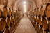 Visita a Bodegas Protos con Cata de 3 Vinos y aperitivo para dos (Peñafiel, Valladolid)